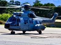 DSC_1009cor