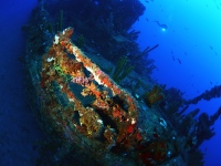 DSC_4770-cor