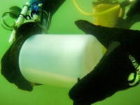 DSCN1122-cor