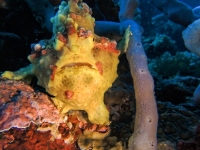 DSCN2924cor