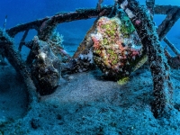 image00001dcorREC-copie