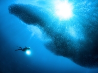 image00006bcor-copie