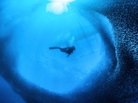 image00009bcor-copie