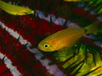 JSB_2628