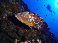 1_DSC0021-cor