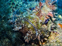 1_DSC_0036cor-copie