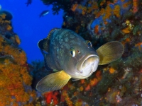 JSB_5705
