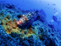 image00053cor1REC2-copie