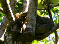 dsc_0538cor