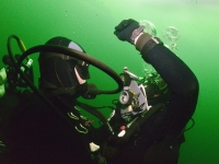 dsc_3328cor