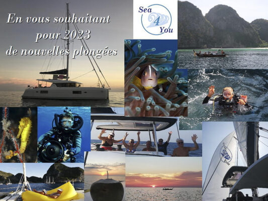 Voeux-2023-Sea4You+cor date webnew